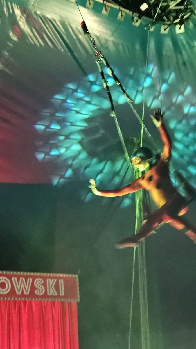 Cyrkowe emocje na żywo!